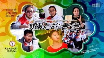 燃烧的青春在线观看,青春燃烧岁月，激情燃烧梦想  第1张